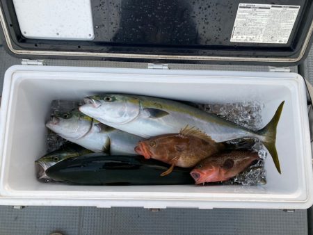 遊漁船高橋 釣果