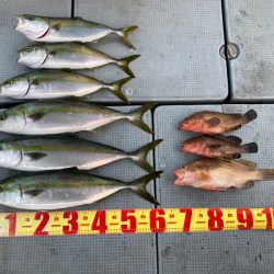 遊漁船高橋 釣果