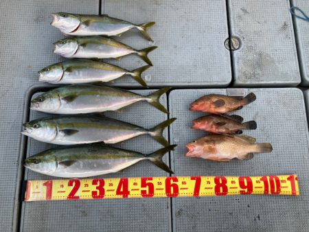 遊漁船高橋 釣果