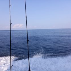 第二龍勢丸 釣果