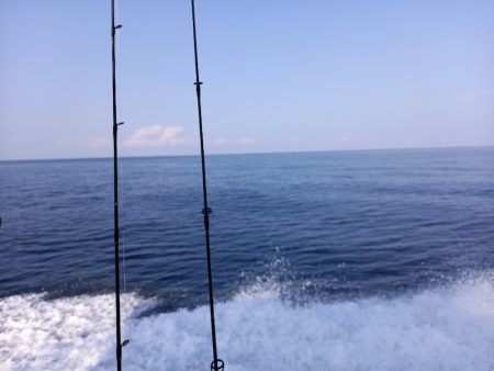 第二龍勢丸 釣果