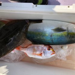 海龍丸(石川) 釣果