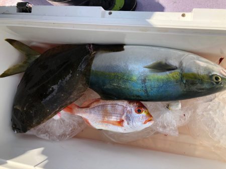 海龍丸(石川) 釣果