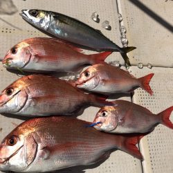 大雄丸 釣果
