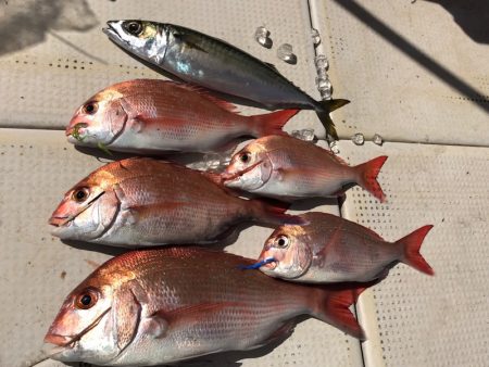 大雄丸 釣果