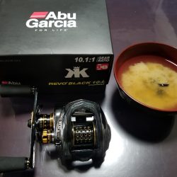 アマテラス 釣果