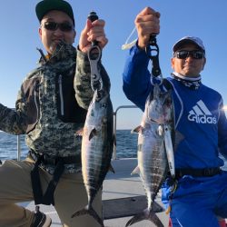 Chase(チェイス) 釣果