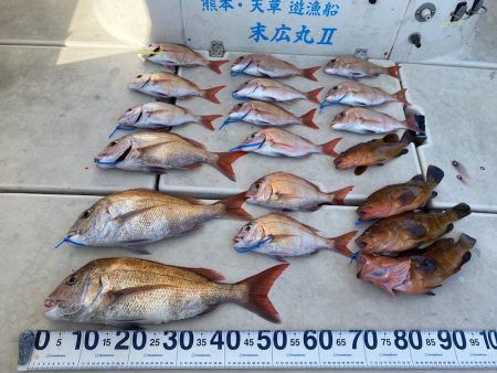 末広丸(熊本) 釣果