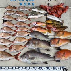 末広丸(熊本) 釣果