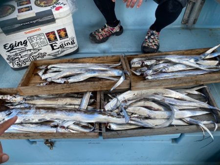 岡田釣船 八英丸 釣果