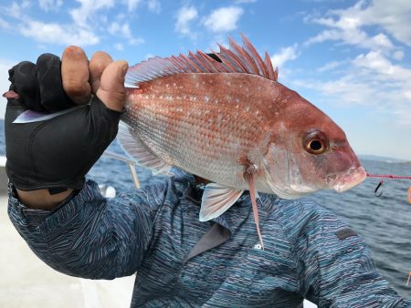 ランスルー 釣果