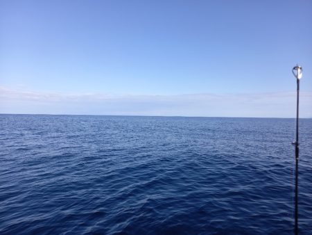 第二龍勢丸 釣果