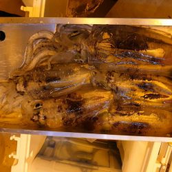 海龍丸（石川） 釣果