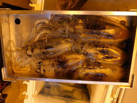 海龍丸（石川） 釣果