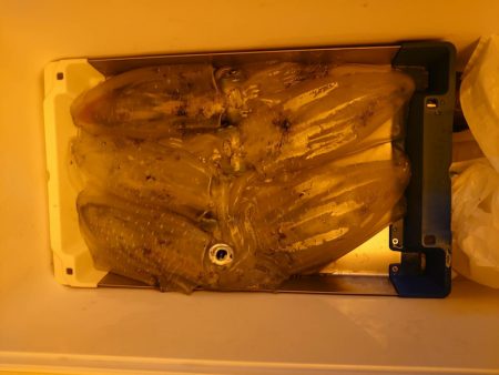 海龍丸（石川） 釣果