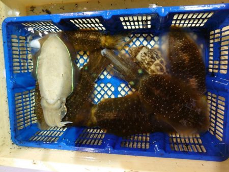 海龍丸（石川） 釣果