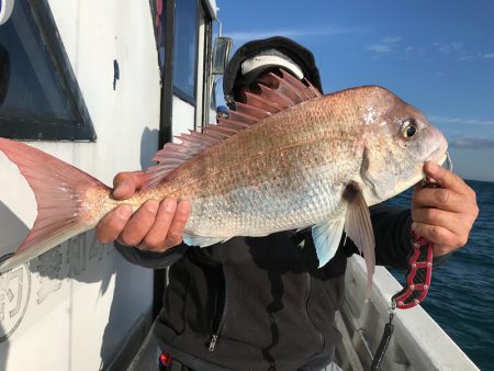 ランスルー 釣果