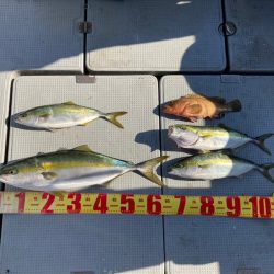 遊漁船高橋 釣果