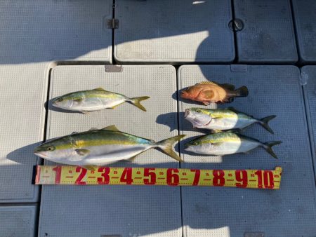 遊漁船高橋 釣果