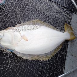 第二龍勢丸 釣果