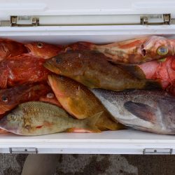 第二龍勢丸 釣果