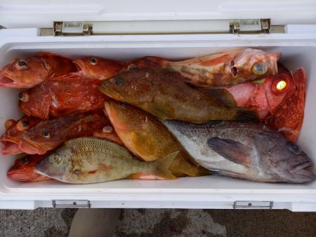 第二龍勢丸 釣果