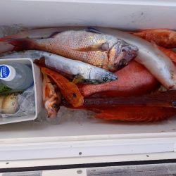 第二龍勢丸 釣果