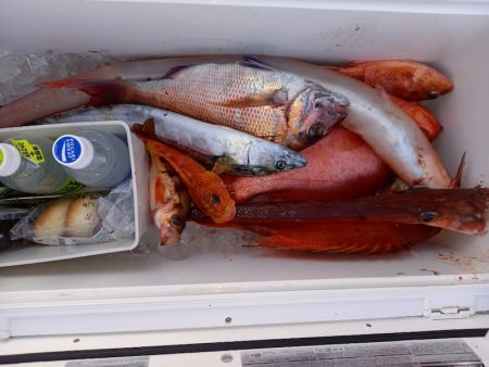 第二龍勢丸 釣果