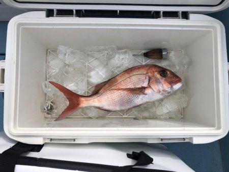 第二八坂丸 釣果