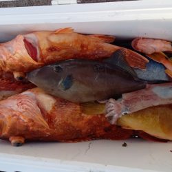 第二龍勢丸 釣果