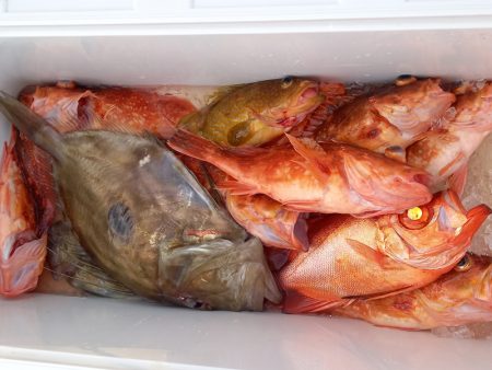 第二龍勢丸 釣果