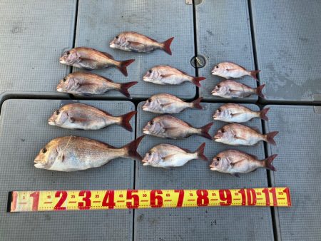 遊漁船高橋 釣果