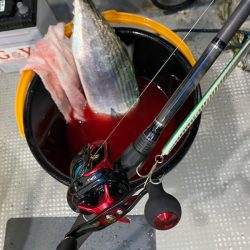 「LaGooN」蒼陽丸 日和号 釣果