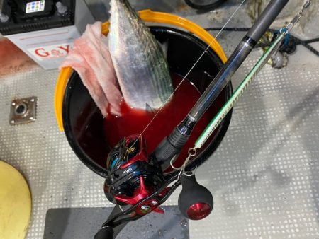 「LaGooN」蒼陽丸 日和号 釣果