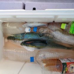 海龍丸(石川) 釣果