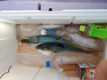 海龍丸(石川) 釣果