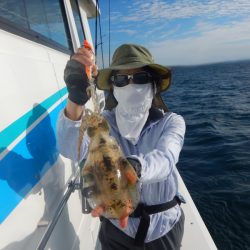 きずなまりん 釣果