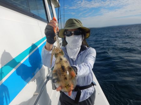 きずなまりん 釣果