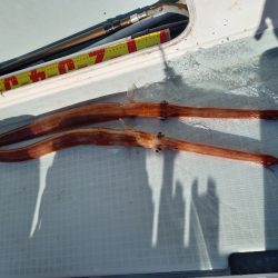 アマテラス 釣果