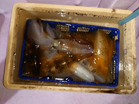 海龍丸（石川） 釣果