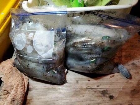 海龍丸（石川） 釣果