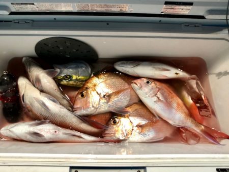 第二八坂丸 釣果