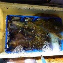 海龍丸（石川） 釣果