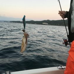 海坊主Ｖ 釣果