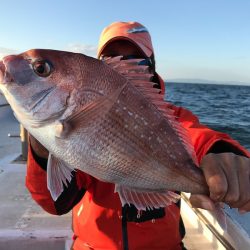 ランスルー 釣果