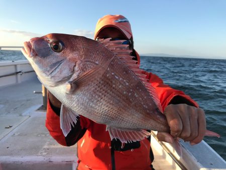 ランスルー 釣果
