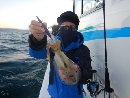 きずなまりん 釣果