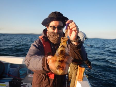 きずなまりん 釣果