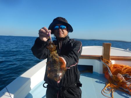 きずなまりん 釣果