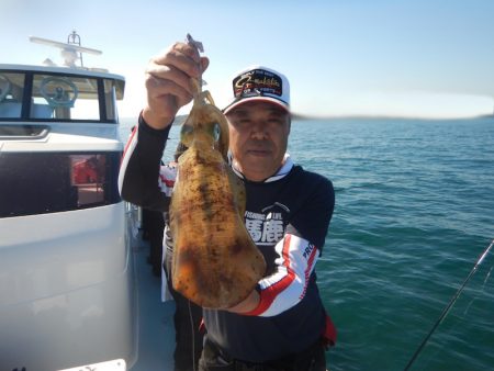 きずなまりん 釣果